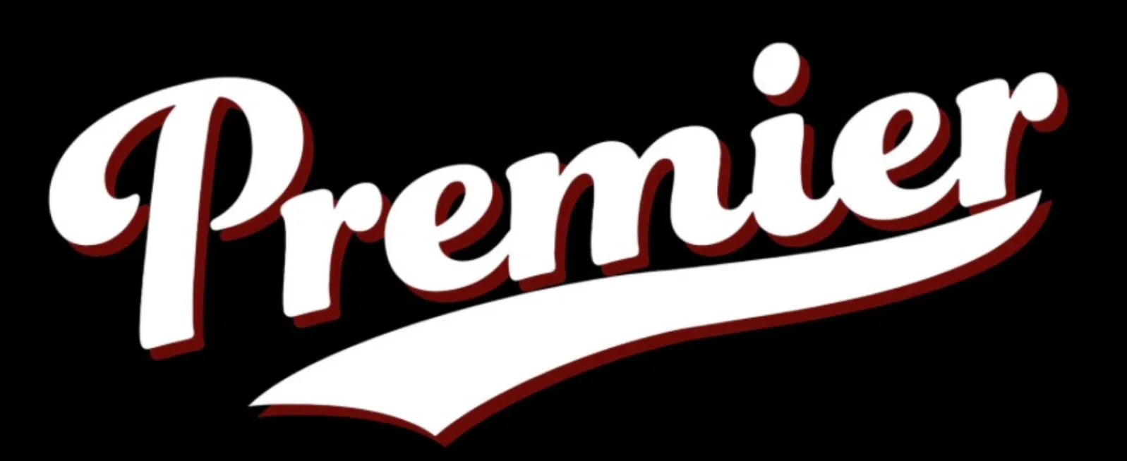 Dallas Premier Volleyball Club logo